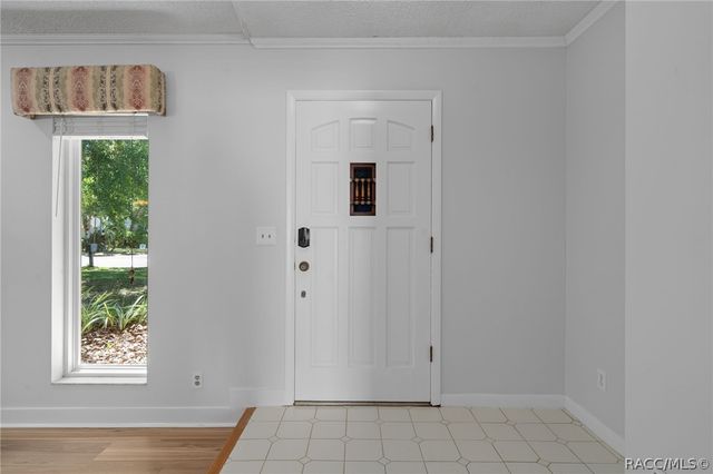 5519 Fulmar Drive, Tampa, FL 33625