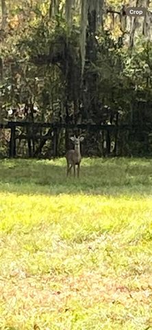 0 N HWY US 27, Ocala, FL 34482