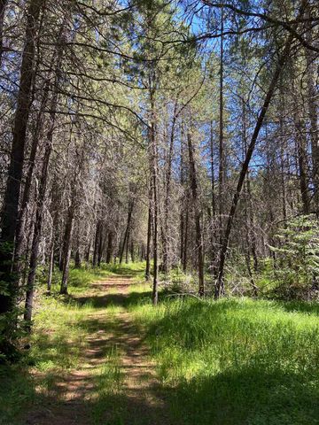 281 Willys Way, Newport, WA 99156