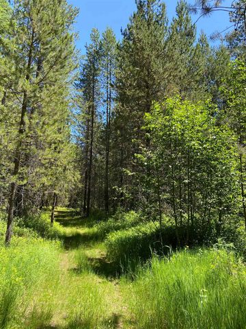 281 Willys Way, Newport, WA 99156