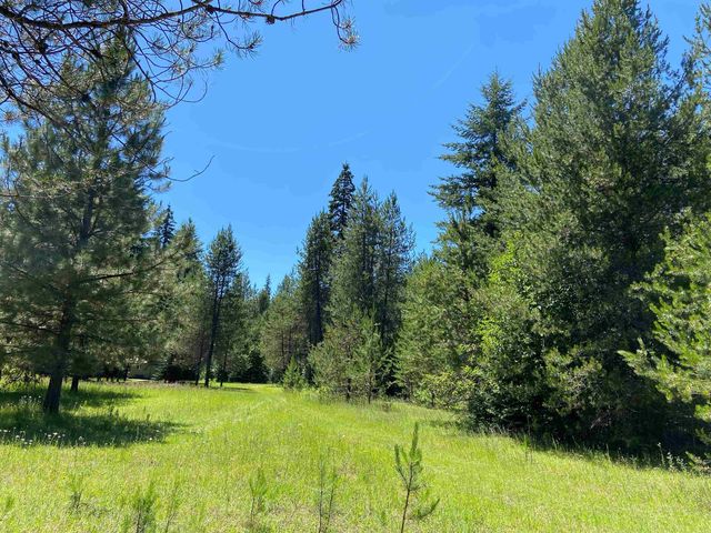 281 Willys Way, Newport, WA 99156