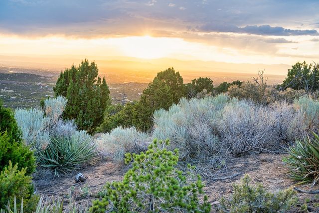 103 Coyote Mountain Road, Santa Fe, NM 87505