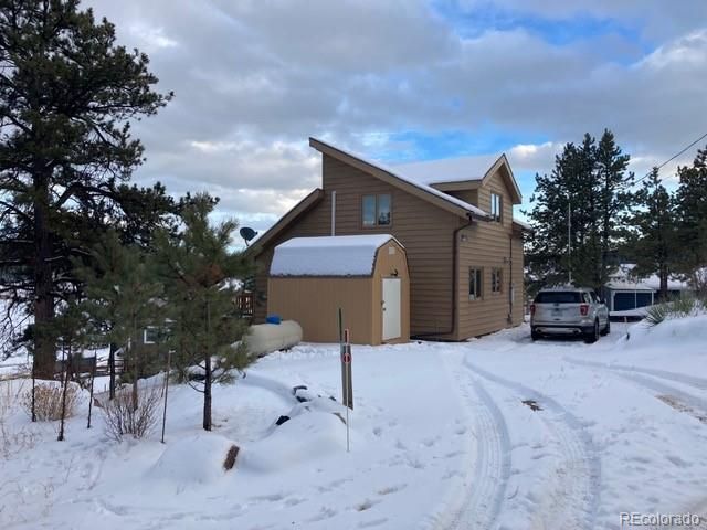 28 Signalman Lane, Lake George, CO 80827