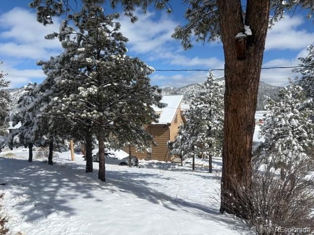 28 Signalman Lane, Lake George, CO 80827