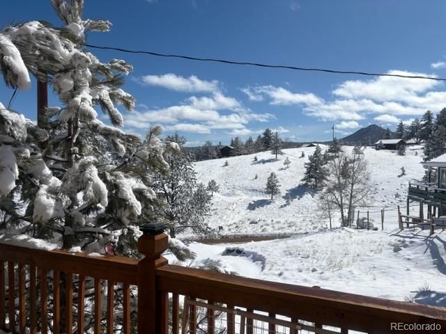28 Signalman Lane, Lake George, CO 80827