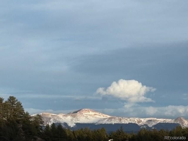 28 Signalman Lane, Lake George, CO 80827