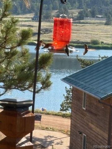 28 Signalman Lane, Lake George, CO 80827