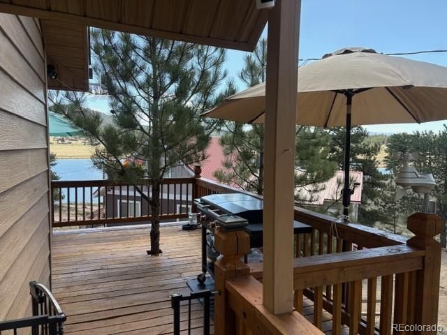 28 Signalman Lane, Lake George, CO 80827
