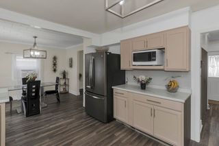 15 Merida St, Springfield, MA 01104