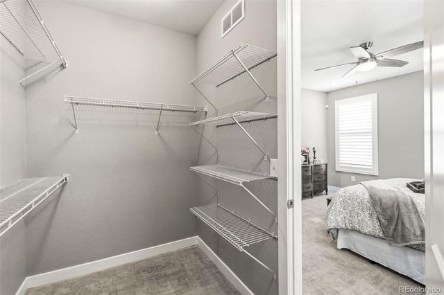 3946 Forever Circle, Castle Rock, CO 80109