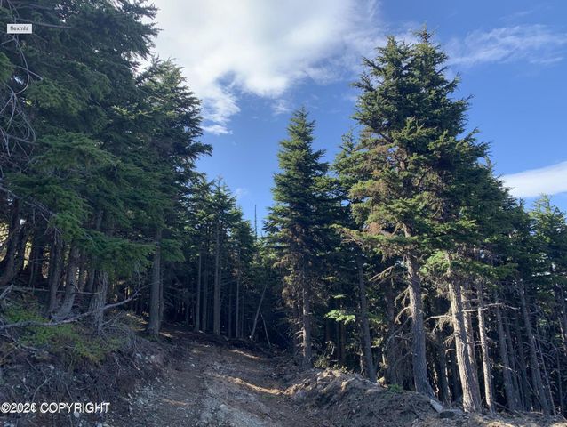 L1 Paine Circle, Anchorage, AK 99516