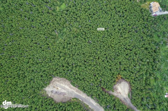 L1 Paine Circle, Anchorage, AK 99516