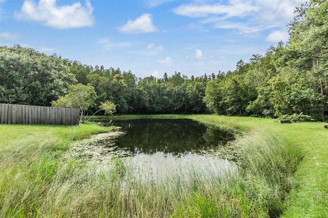 5923 BITTERWOOD COURT, Tampa, FL 33625