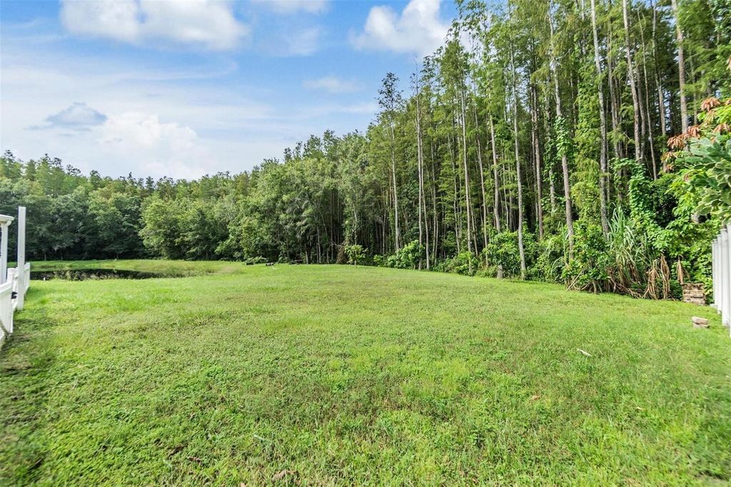 Image 32 of property listing at 5923 BITTERWOOD COURT, Tampa, FL 33625