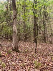 11734 Armstrong Road, Soddy Daisy, TN 37379