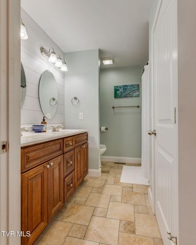 291 Holland View Drive, Jonesborough, TN 37659