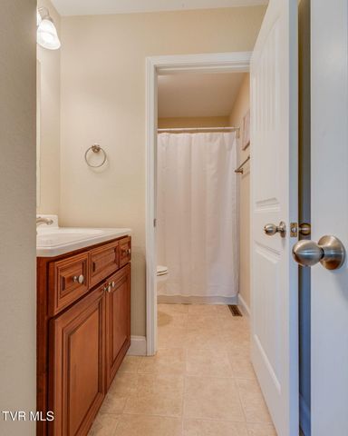 291 Holland View Drive, Jonesborough, TN 37659