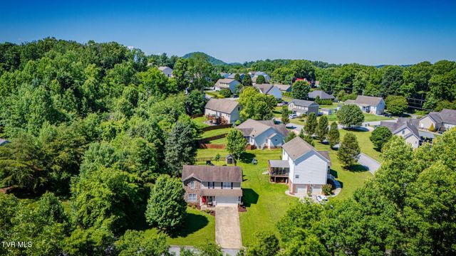 291 Holland View Drive, Jonesborough, TN 37659