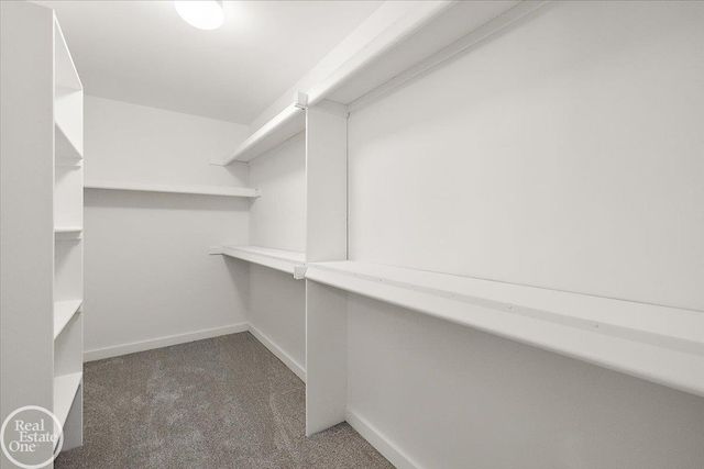 50567 Summit View Drive, Macomb Twp, MI 48044