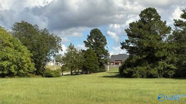 lot 1 Old Gurley Road, Huntsville, AL 35811