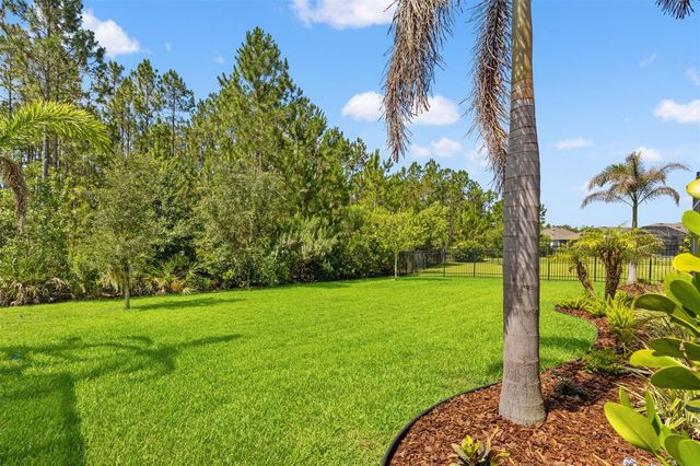 3497 TOUR TRACE, Land O Lakes, FL 34638