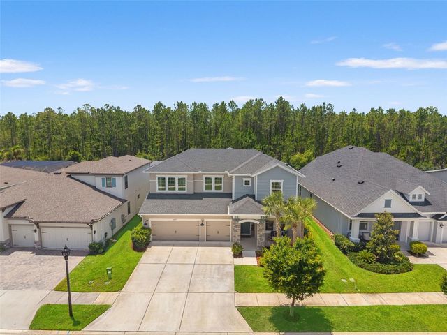 3497 TOUR TRACE, Land O Lakes, FL 34638
