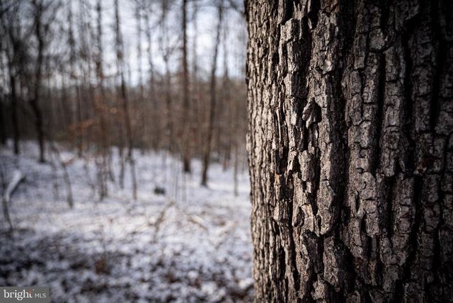 MALLORYS FORD RD, Louisa, VA 23093