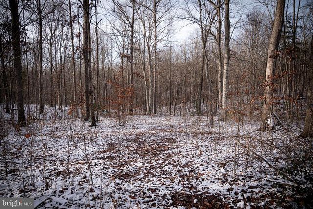 MALLORYS FORD RD, Louisa, VA 23093