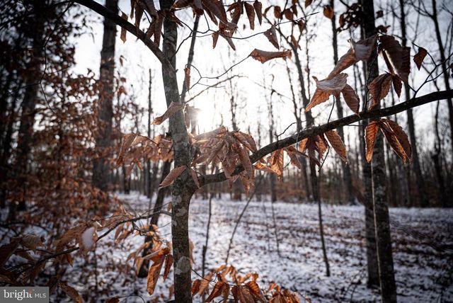 MALLORYS FORD RD, Louisa, VA 23093