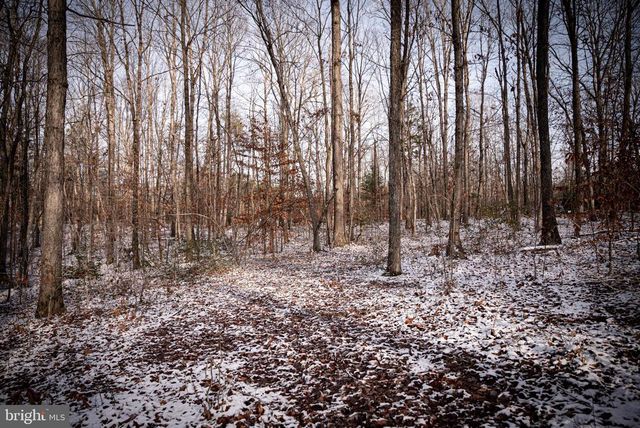 MALLORYS FORD RD, Louisa, VA 23093