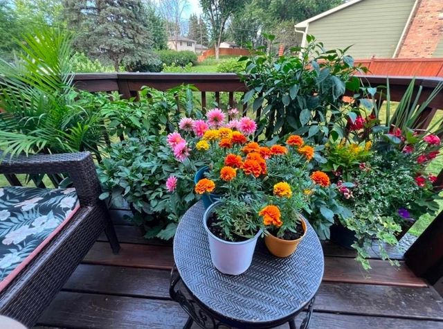 4048 Cinnabar Drive, Eagan, MN 55122