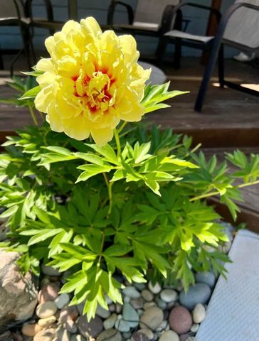 4048 Cinnabar Drive, Eagan, MN 55122