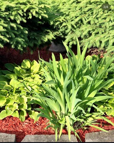 4048 Cinnabar Drive, Eagan, MN 55122