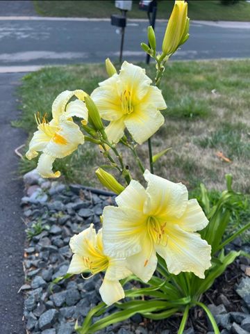 4048 Cinnabar Drive, Eagan, MN 55122