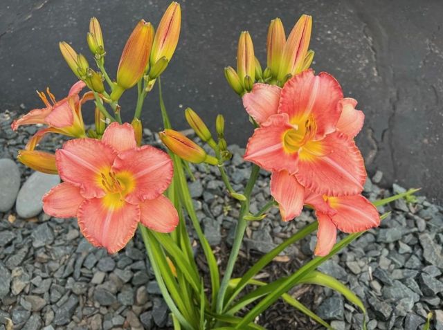 4048 Cinnabar Drive, Eagan, MN 55122