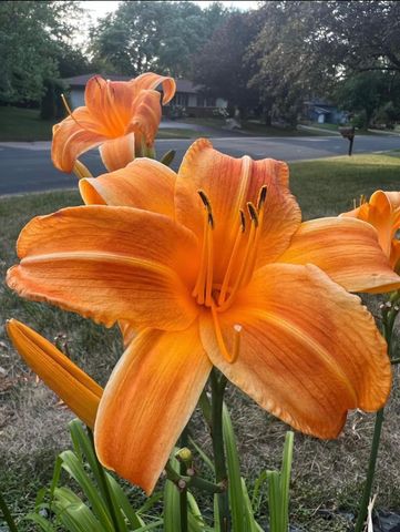 4048 Cinnabar Drive, Eagan, MN 55122