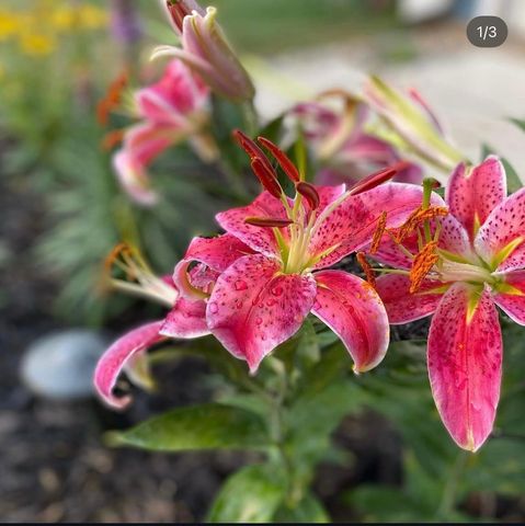 4048 Cinnabar Drive, Eagan, MN 55122