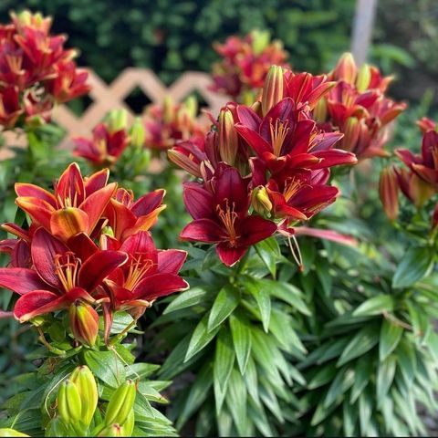 4048 Cinnabar Drive, Eagan, MN 55122