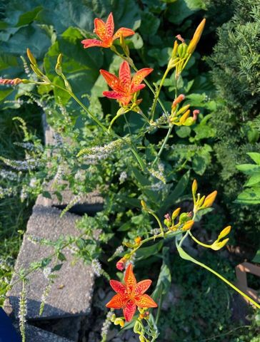 4048 Cinnabar Drive, Eagan, MN 55122