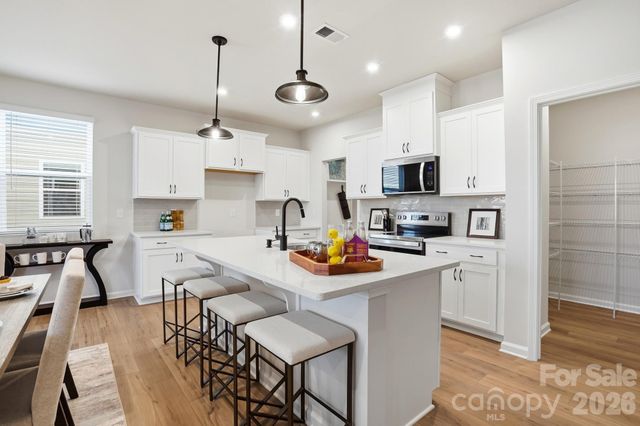 3847 Cheyney Park Drive, Charlotte, NC 28269