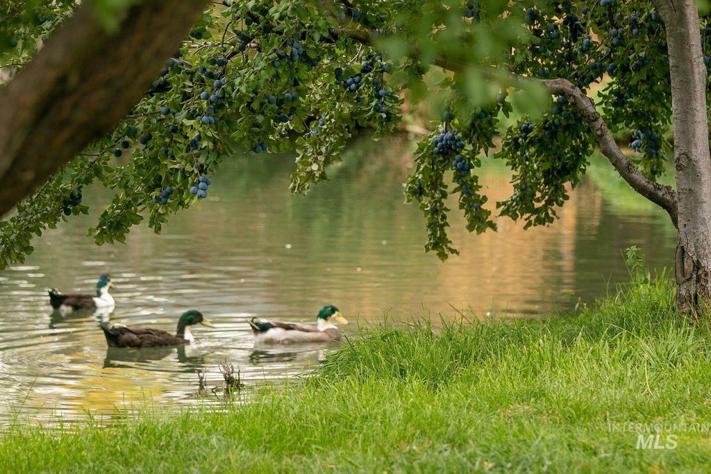 4799 A River Road, Buhl, ID 83316 photo 34