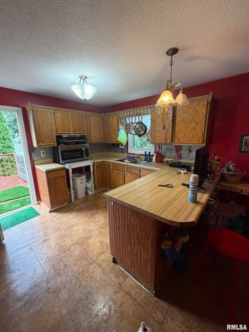 1118 E Percy Avenue, Springfield, IL 62702