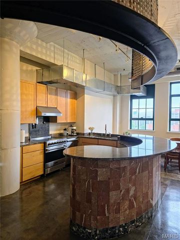 701 N 15th Street 507E, St Louis, MO 63103