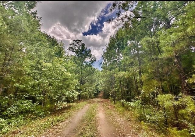 2370 Westville Road, Groveton, TX 75845