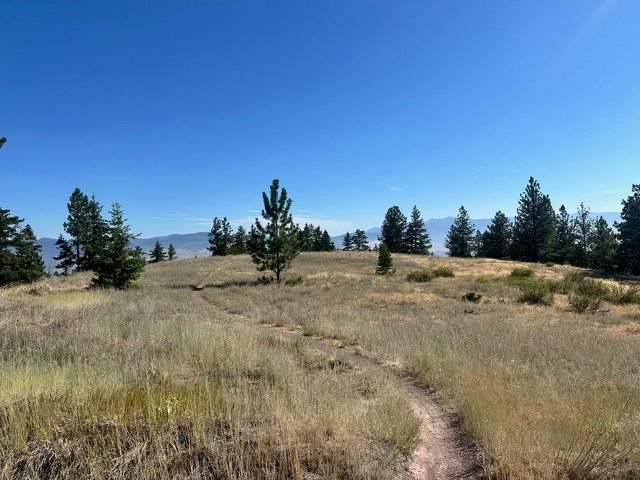 Parcel 2A Dry Gulch Road, Missoula, MT 59804 property photo