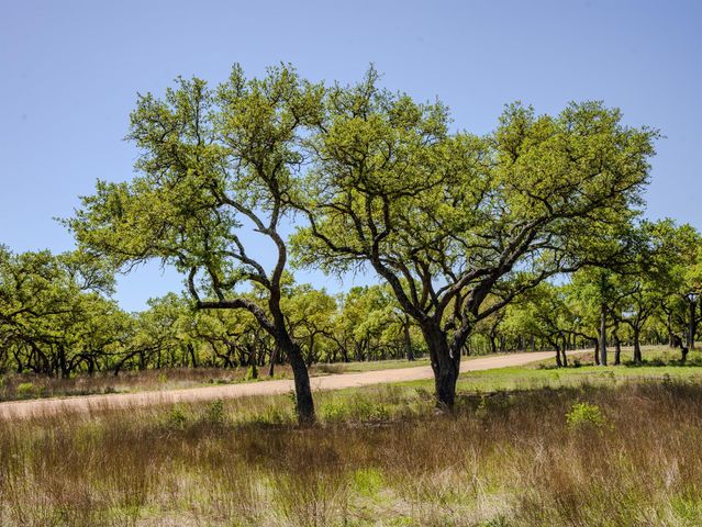 000 Little Creek RNCH, Johnson City, TX 78638