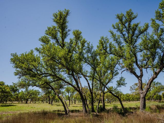000 Little Creek RNCH, Johnson City, TX 78638