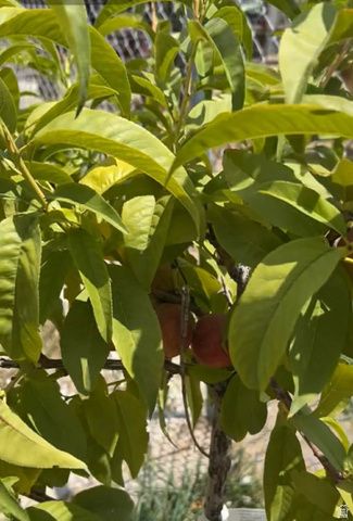 127 S 400 E, Lindon, UT 84042