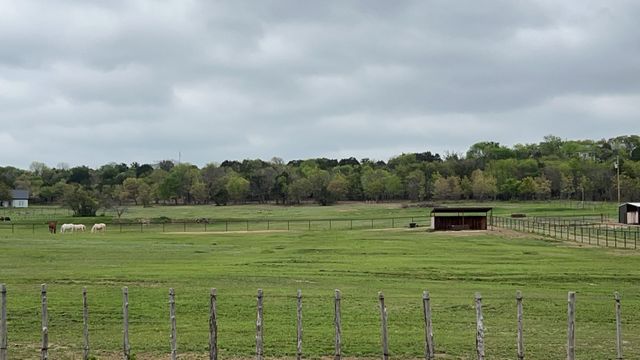 1990 Horsemans Drive, Stephenville, TX 76401