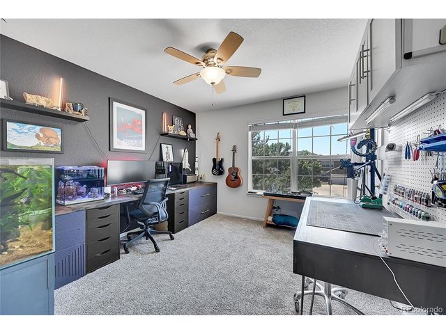 248 Habitat Cir, Windsor, CO 80550